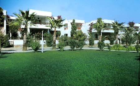 Oleander 3*