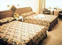 Crove Plaza 5*