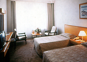 Dedeman Ankara 5*