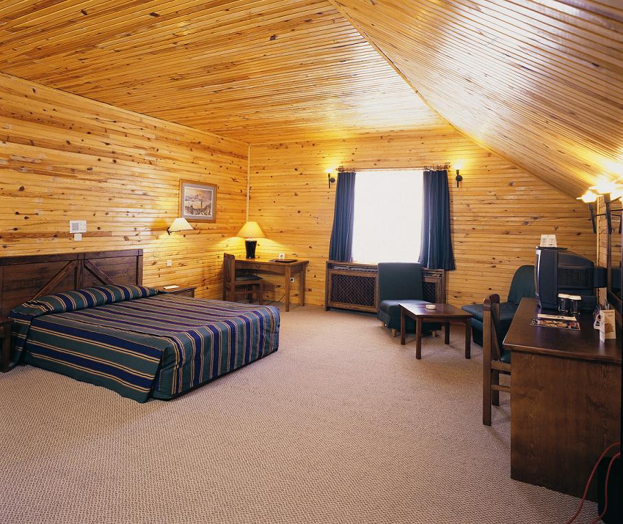 Dedeman Palandoken SKI Resort 4*