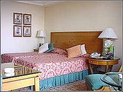 Hilton Istabul 5*