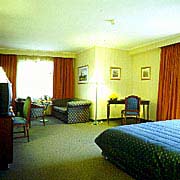 Radisson Sas Conference and Airport 5*
