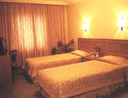 Antea 3*