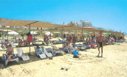 Club Yek Apart 3*