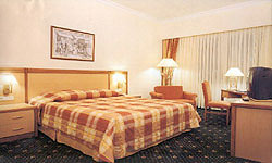 Polat Renaissance Erzurum 5*