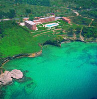 Green Iife 3*