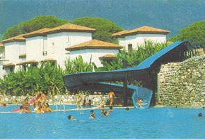 Club Turtle